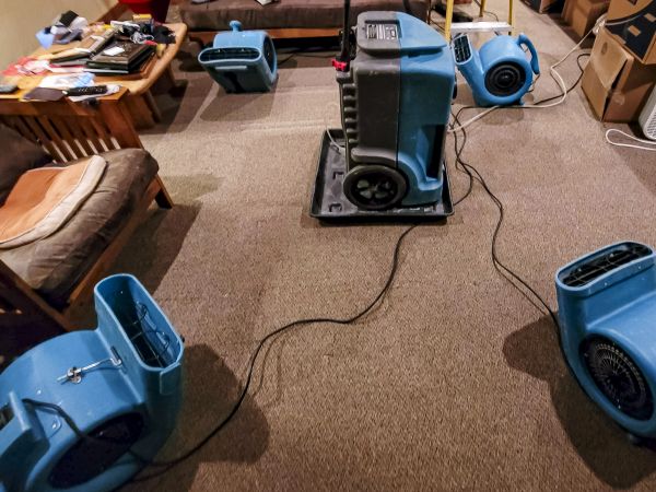 Cost of Flood Damage Recovery in Atlanta