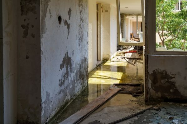 Cost of Water Removal Service in Atlanta