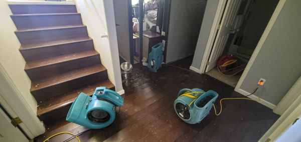 Cost of Water Damage Remediation in Atlanta